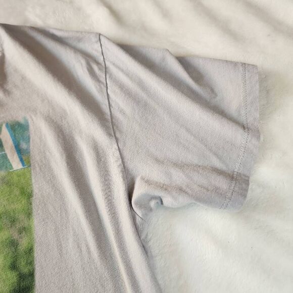 Shania Twain Gray Tshirt with Graphics Size Medium - Picture 4 of 6